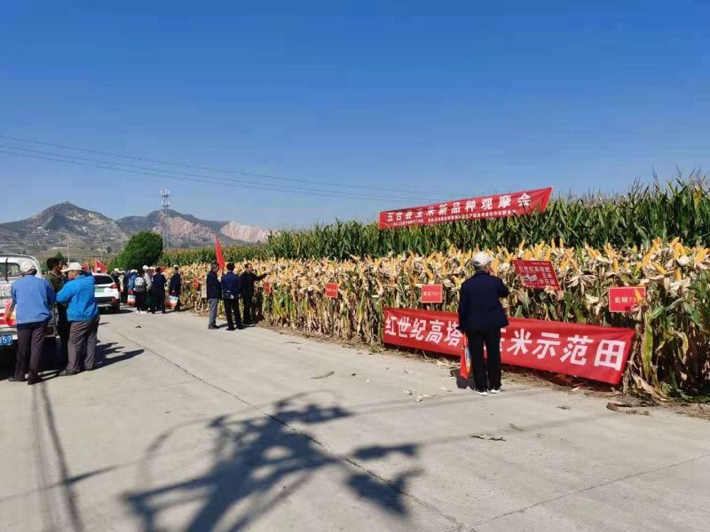 客户案例