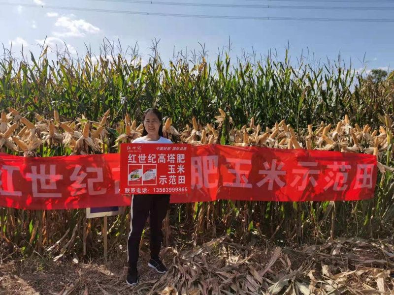 客户案例