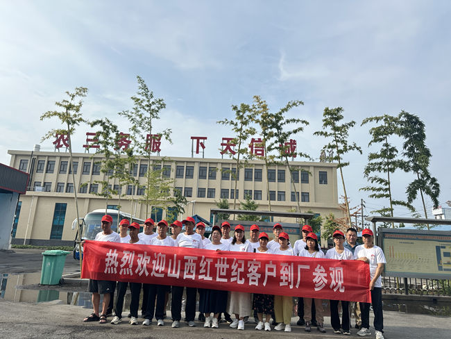 图片4